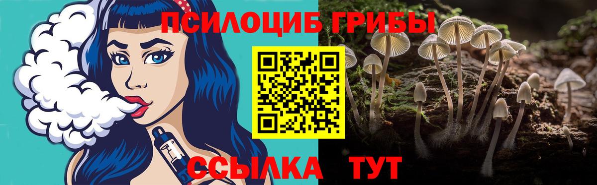 Сегежа  Псилоцибиновые грибы GOLDEN TEACHER  Вход с VPN 